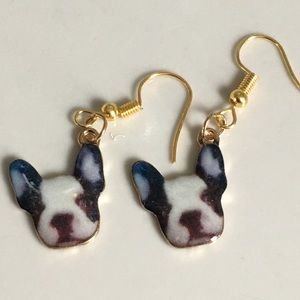 Boston terriers or bulldogs - Adorable 🐶